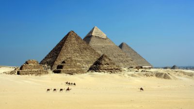 Pyramider i öknen med kameler framför dem